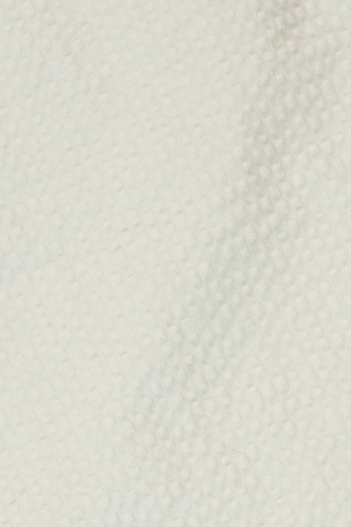 Chemise manches courtes Fede Oyster