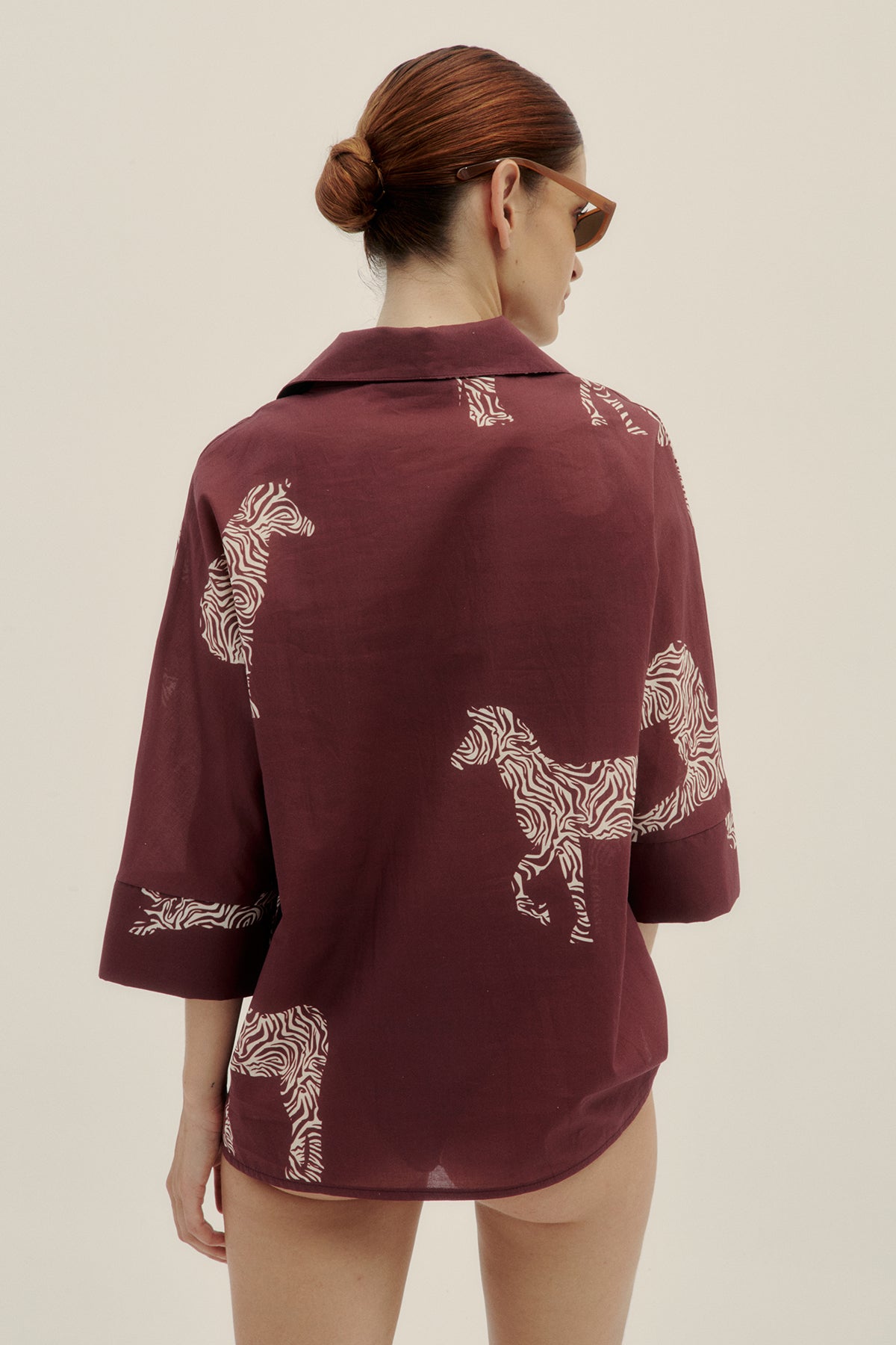 Camisa Sol Zebra - Polonio