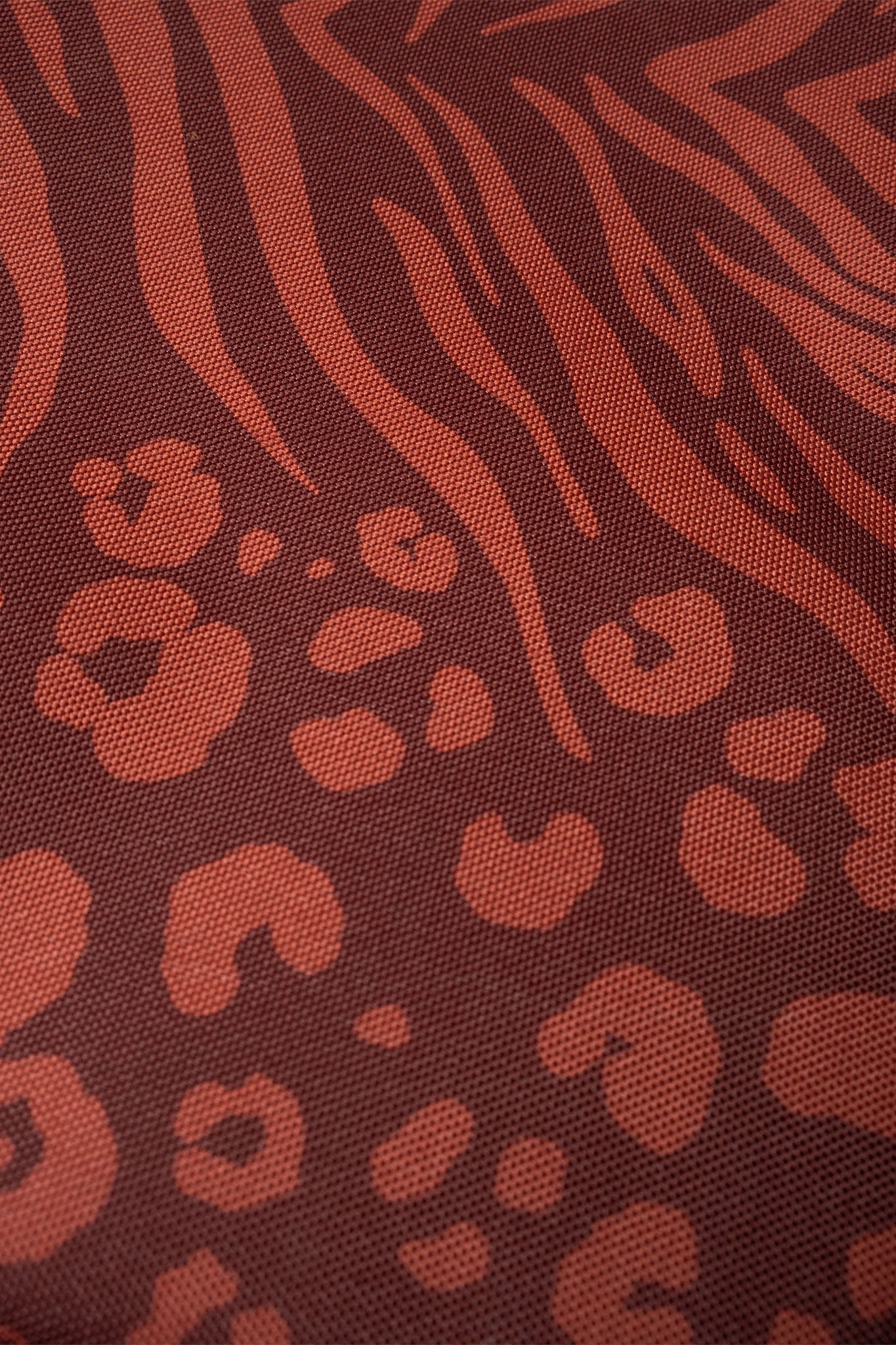 Small Cooler Feline Chocolate